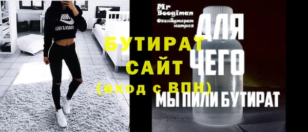 ГАЛЛЮЦИНОГЕННЫЕ ГРИБЫ Дмитриев