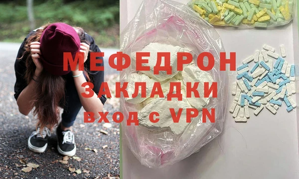 ГАЛЛЮЦИНОГЕННЫЕ ГРИБЫ Дмитриев