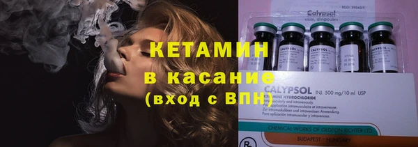 ГАЛЛЮЦИНОГЕННЫЕ ГРИБЫ Дмитриев