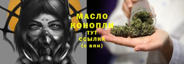 ГАЛЛЮЦИНОГЕННЫЕ ГРИБЫ Дмитриев
