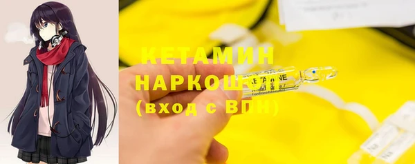 ГАЛЛЮЦИНОГЕННЫЕ ГРИБЫ Дмитриев