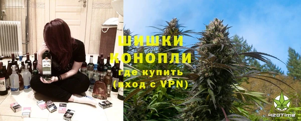 ГАЛЛЮЦИНОГЕННЫЕ ГРИБЫ Дмитриев