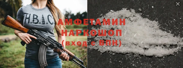 ГАЛЛЮЦИНОГЕННЫЕ ГРИБЫ Дмитриев