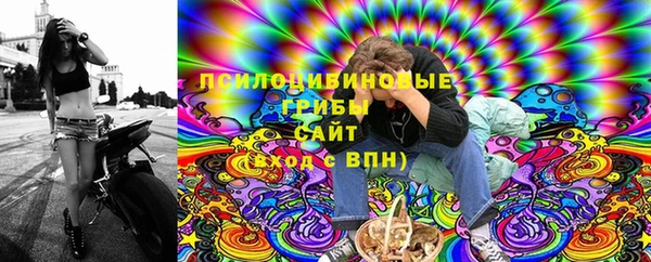 прущий лед Дмитровск
