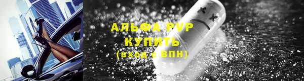 ГАЛЛЮЦИНОГЕННЫЕ ГРИБЫ Дмитриев