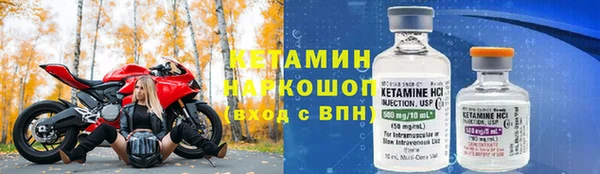 ГАЛЛЮЦИНОГЕННЫЕ ГРИБЫ Дмитриев