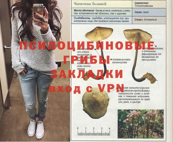 прущий лед Дмитровск